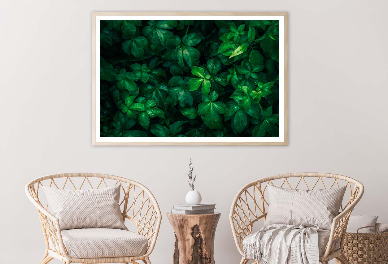 Foliage Of Tropical Leaf  Home Decor Premium Quality Poster Print Choose Your Sizes