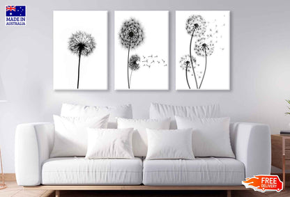 3 Set of Black Dandelion Flowers High Quality Print 100% Australian Made Wall Canvas Ready to Hang