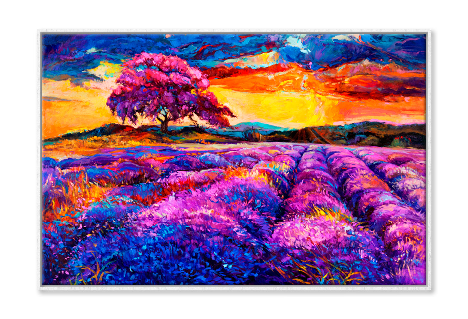 Lavender fields Oil Painting Wall Art Limited Edition High Quality Print Canvas Box Framed White