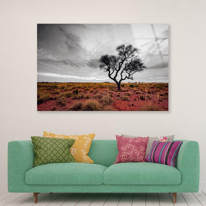 Australian Outback Acrylic Glass Print Tempered Glass Wall Art 100% Made in Australia Ready to Hang