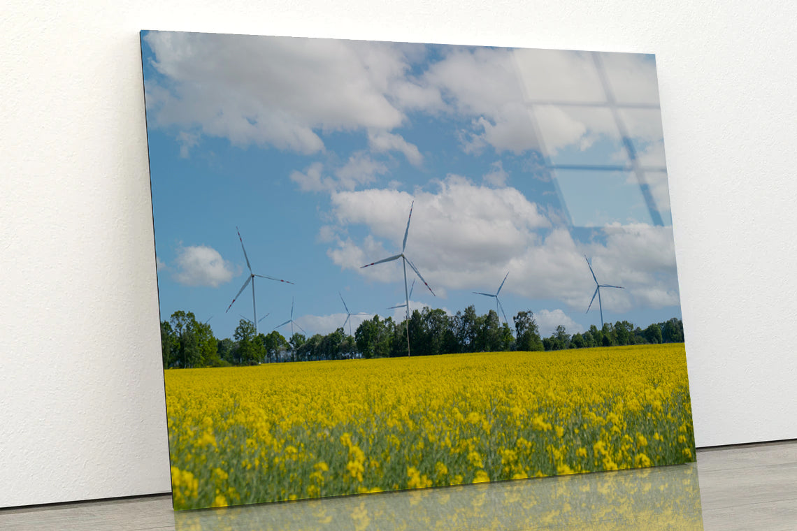 Rapeseed Plant and Wind Turbines Acrylic Glass Print Tempered Glass Wall Art 100% Made in Australia Ready to Hang