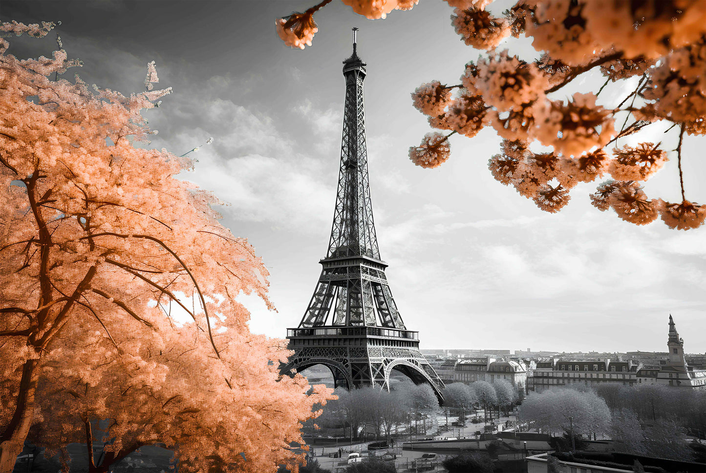 B&W Eiffel Tower Faded Flower Trees Print 100% Australian Made