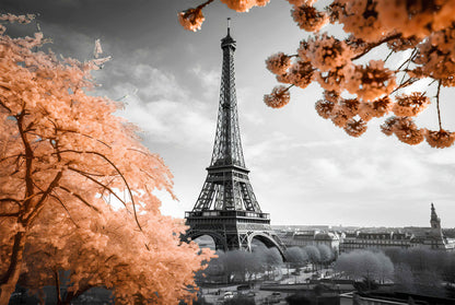 B&W Eiffel Tower Faded Flower Trees Print 100% Australian Made