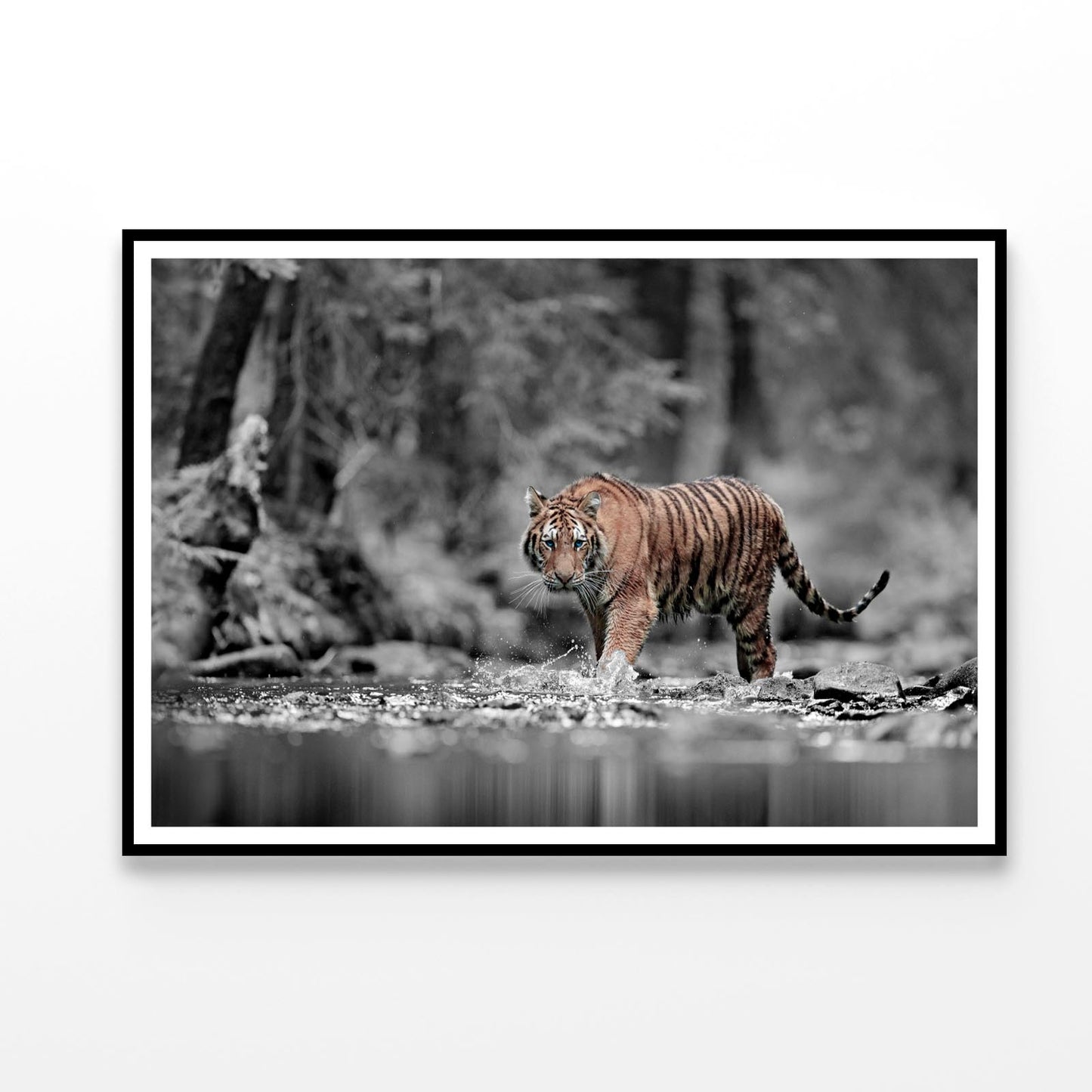 Blue Eye Tiger Decor Premium Quality Poster Print Choose Your Sizes