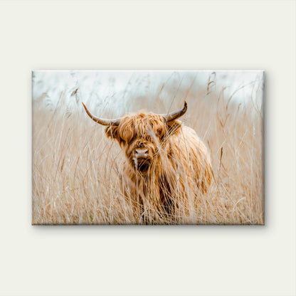 Rustic Farmhouse Highland Cow with Neutral Toned Wheat Field Wall Art Decor 100% Australian Made