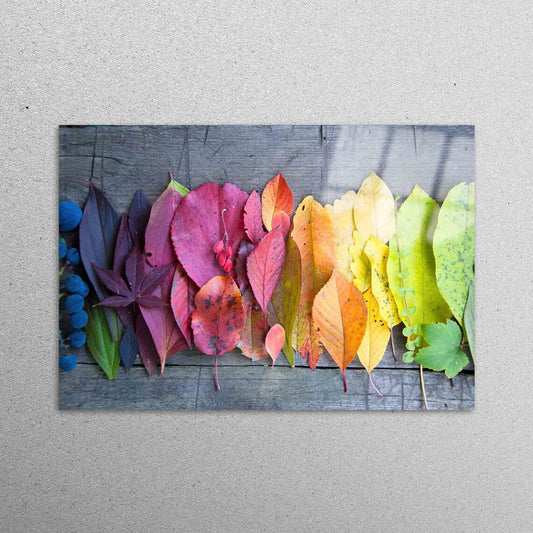 Autumn Colorful Leaves Acrylic Glass Print Tempered Glass Wall Art 100% Made in Australia Ready to Hang