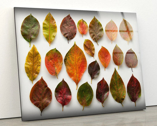 Colorful Leaves View UV Direct Aluminum Print Australian Made Quality