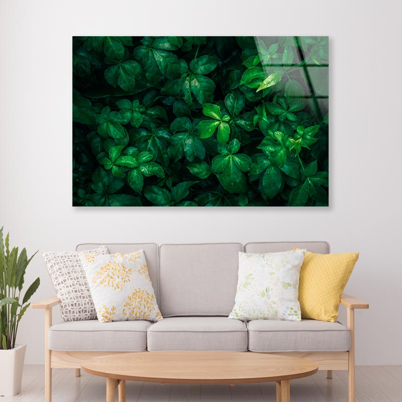 Foliage Of Tropical Leaf Acrylic Glass Print Tempered Glass Wall Art 100% Made in Australia Ready to Hang