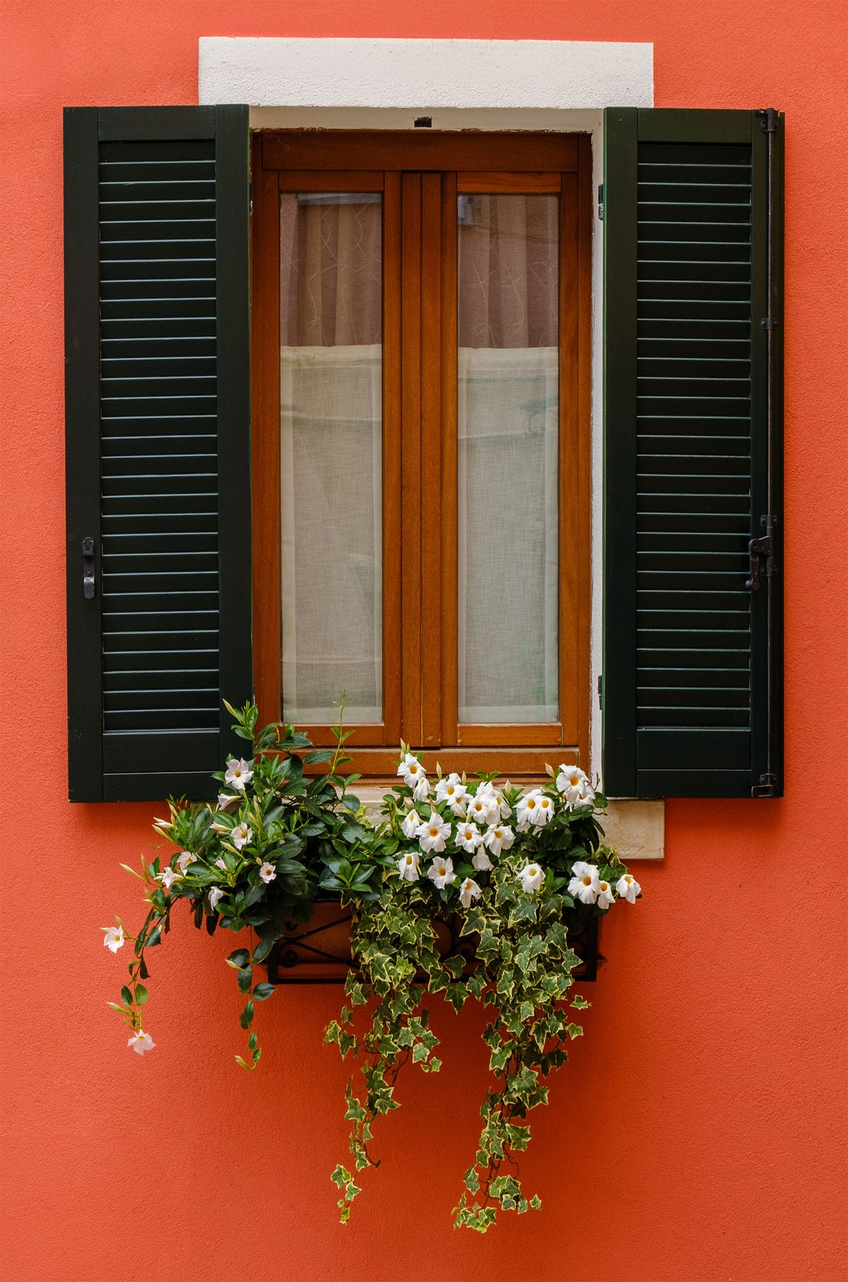 Red Wall Window Flower Box 40x60cm Metal Print Ready to Hang
