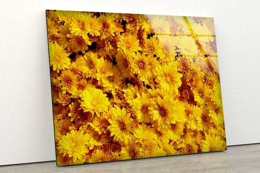 Yellow Daisy Flowers UV Direct Aluminum Print Australian Made Quality