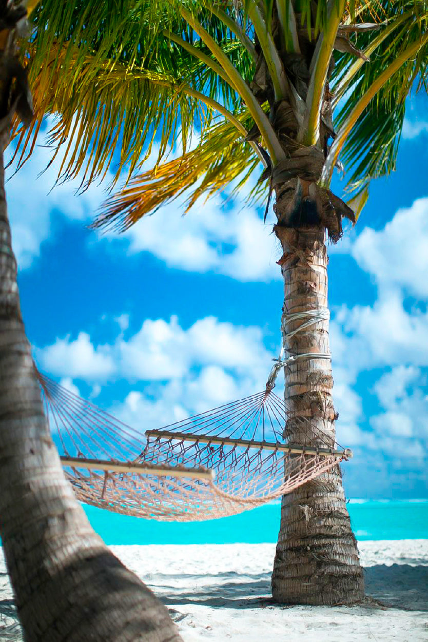 Hammock with Palm Trees Beach Photograph Glass Framed Wall Art, Ready to Hang Quality Print