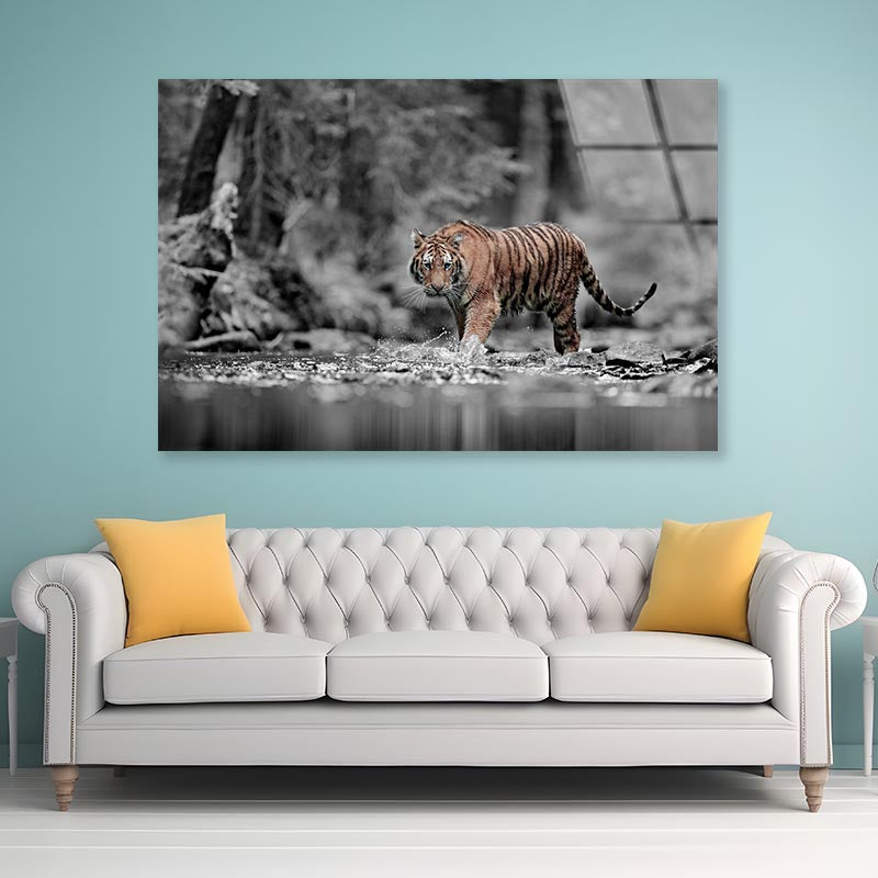 Blue Eye Tiger Acrylic Glass Print Tempered Glass Wall Art 100% Made in Australia Ready to Hang