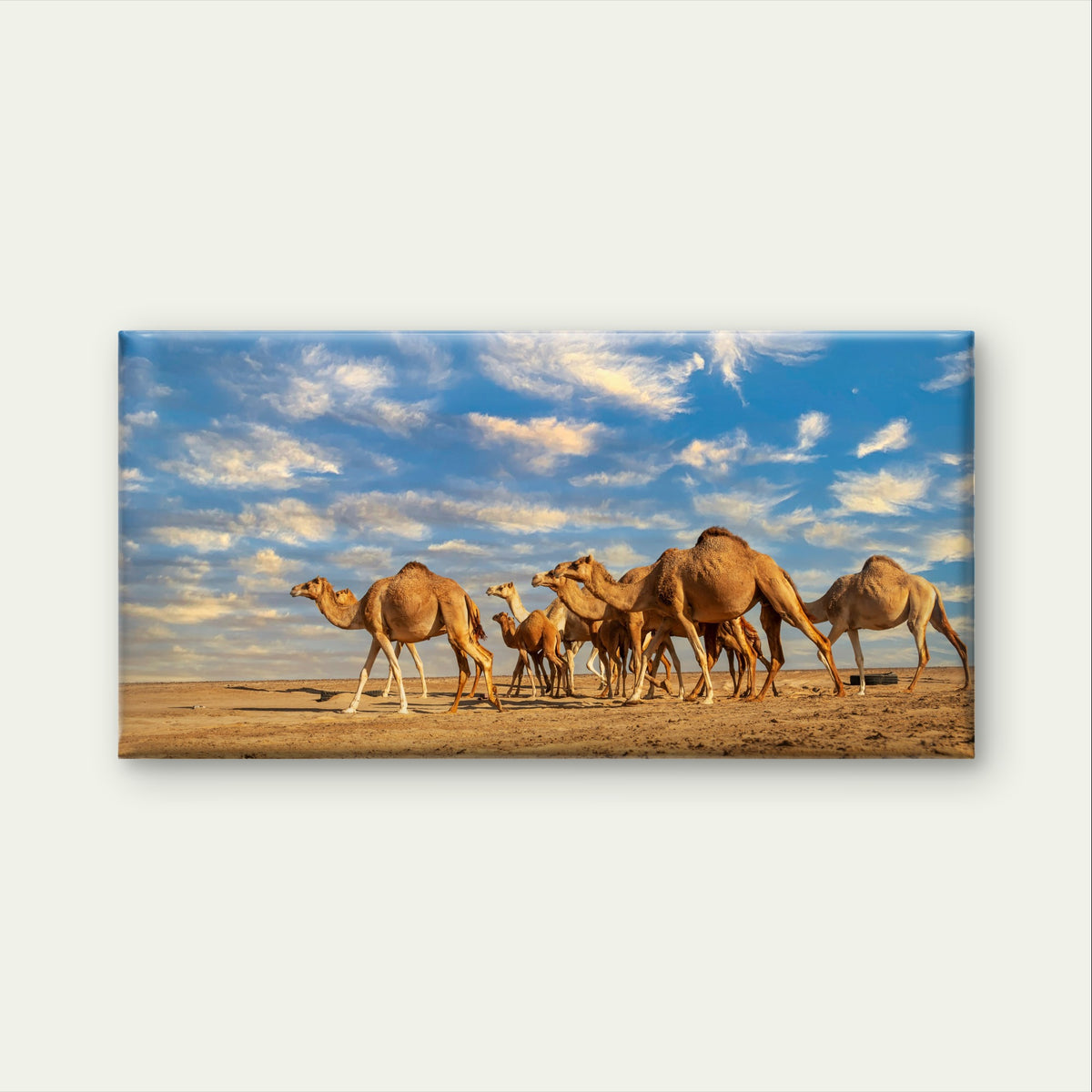 Sahara Desert Camel Caravan Safari Sunset Wall Art Canvas Office Home Framed 120x60cm