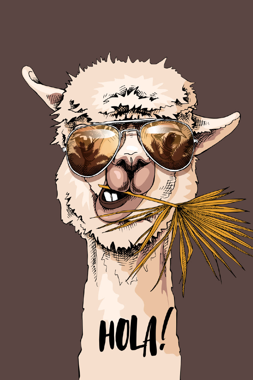 Cool Alpaca Sunglasses Hola Design 60x90cm Metal Print Ready to Hang