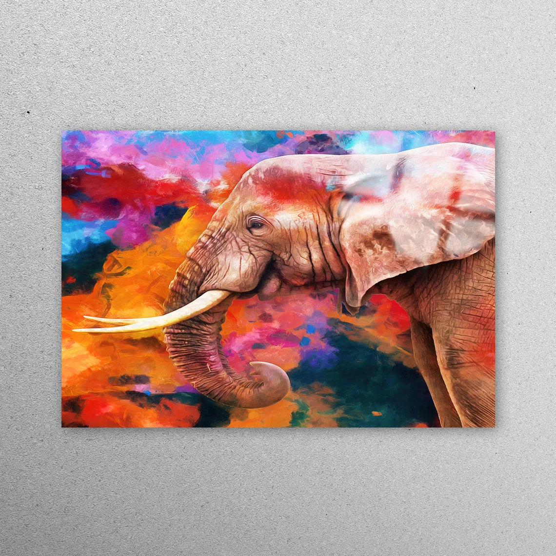 African Elephant Wall Art Acrylic Glass Print Tempered Glass Wall Art 100% Made in Australia Ready to Hang