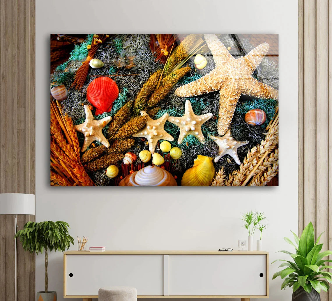 Sea Shells Photograph UV Direct Aluminum Print Australian Made Quality