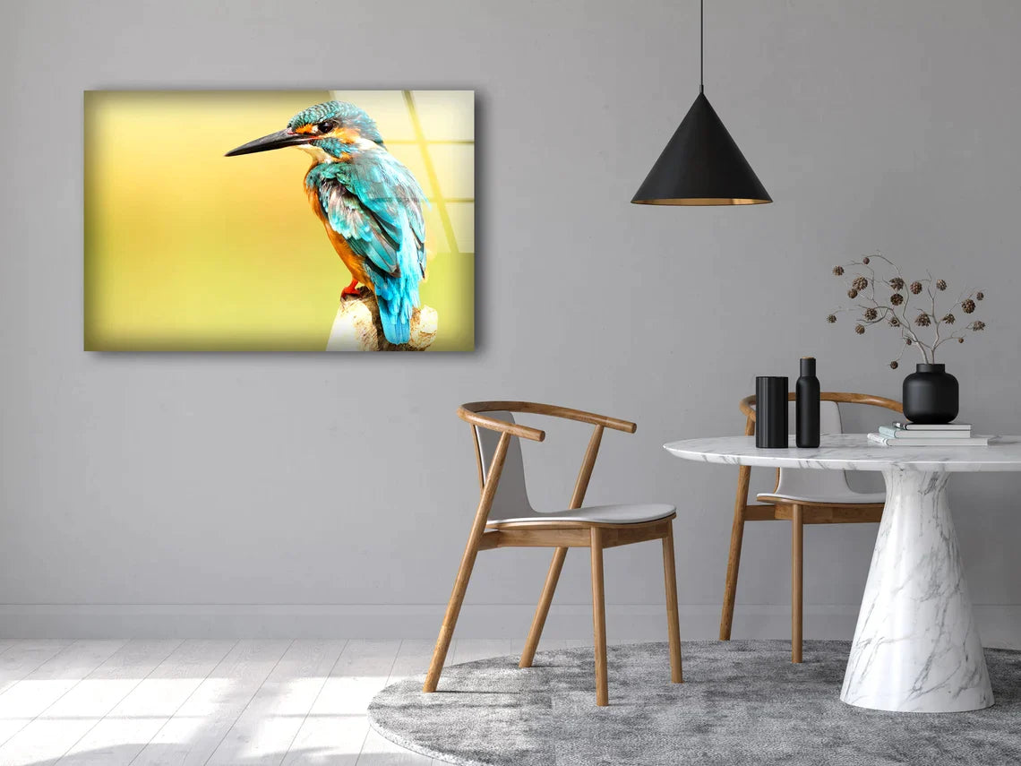 Kingfisher Bird Closeup UV Direct Aluminum Print Australian Made Quality