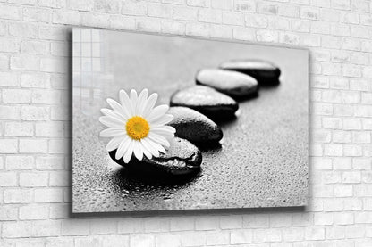 White Daisy & Stone UV Direct Aluminum Print Australian Made Quality