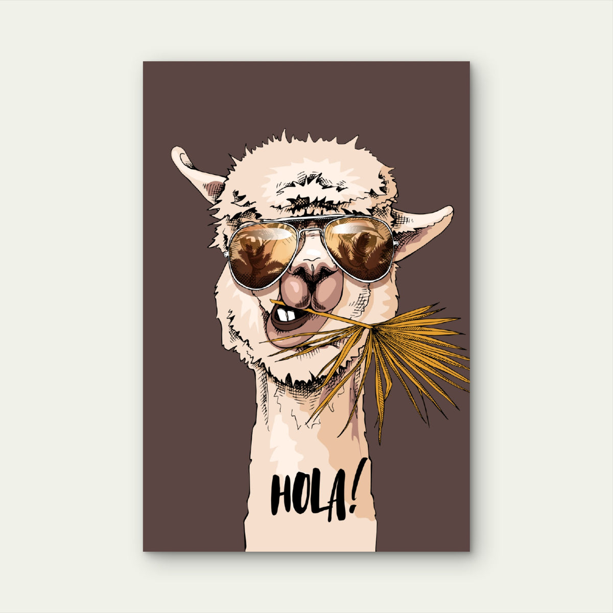 Cool Alpaca Sunglasses Hola Design 60x90cm Metal Print Ready to Hang