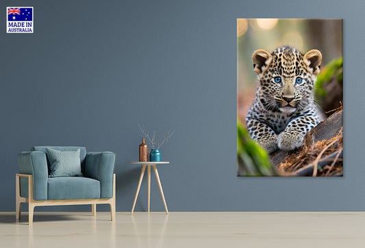 Leopard Cub is Seen in the Wood Wall Art Decor 100% Australian Made
