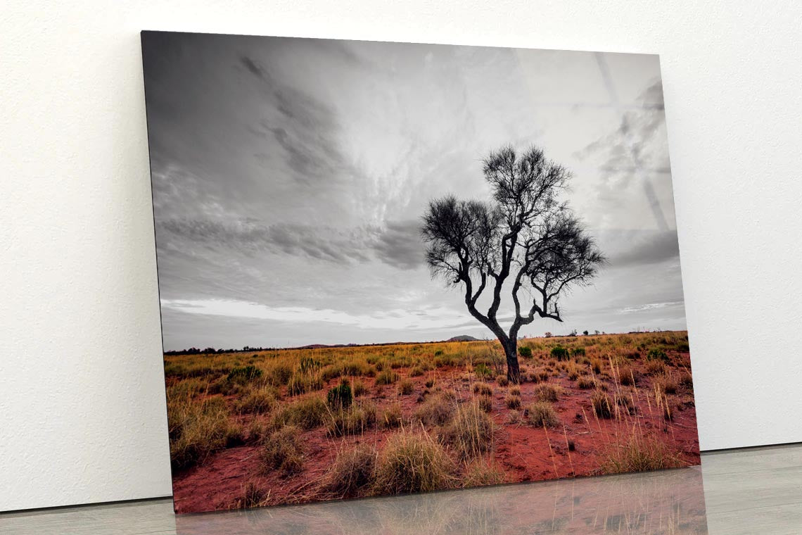 Australian Outback Acrylic Glass Print Tempered Glass Wall Art 100% Made in Australia Ready to Hang