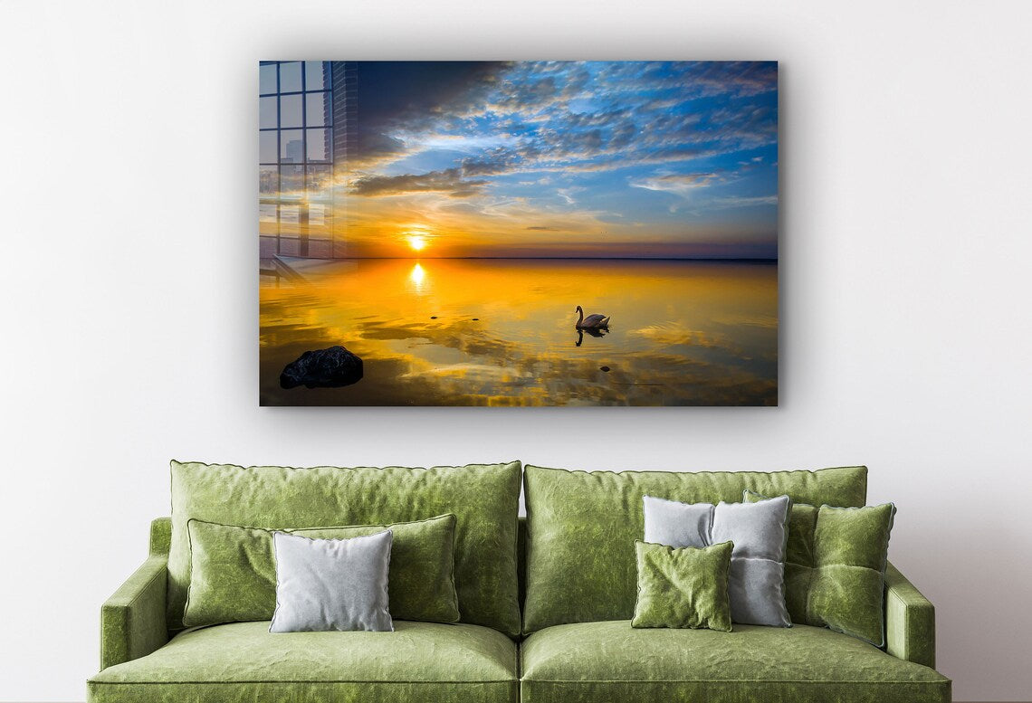 Swan on Lake Sunset UV Direct Aluminum Print Australian Made Quality