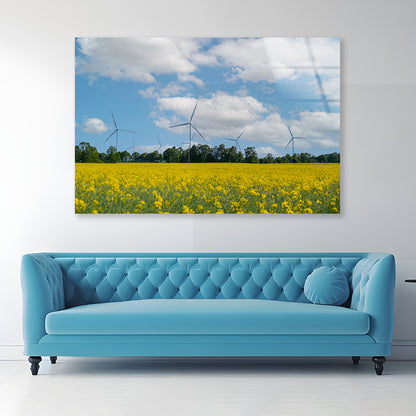 Rapeseed Plant and Wind Turbines Acrylic Glass Print Tempered Glass Wall Art 100% Made in Australia Ready to Hang