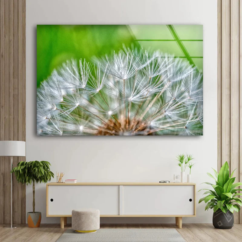 Dandelion Flowers UV Direct Aluminum Print Australian Made Quality