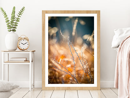 Blurred Autumn Golden Floral Glass Framed Wall Art, Ready to Hang Quality Print With White Border Oak