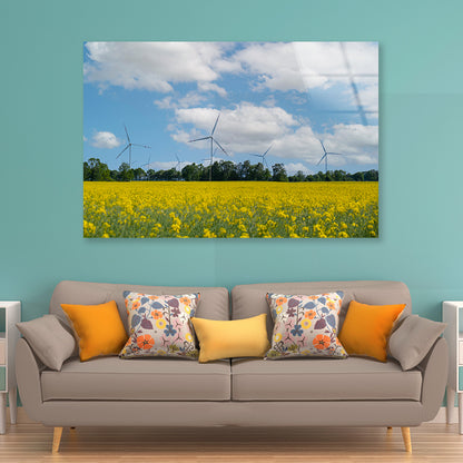 Rapeseed Plant and Wind Turbines Acrylic Glass Print Tempered Glass Wall Art 100% Made in Australia Ready to Hang