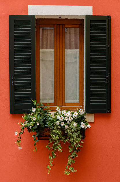 Red Wall Window Flower Box 60x90cm Metal Print Ready to Hang