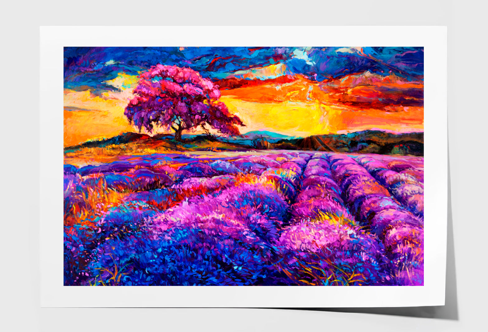 Lavender fields Oil Painting Wall Art Limited Edition High Quality Print Unframed Roll Canvas None