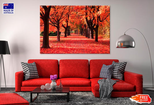 Colorful Autumn Forest Print 100% Australian Made