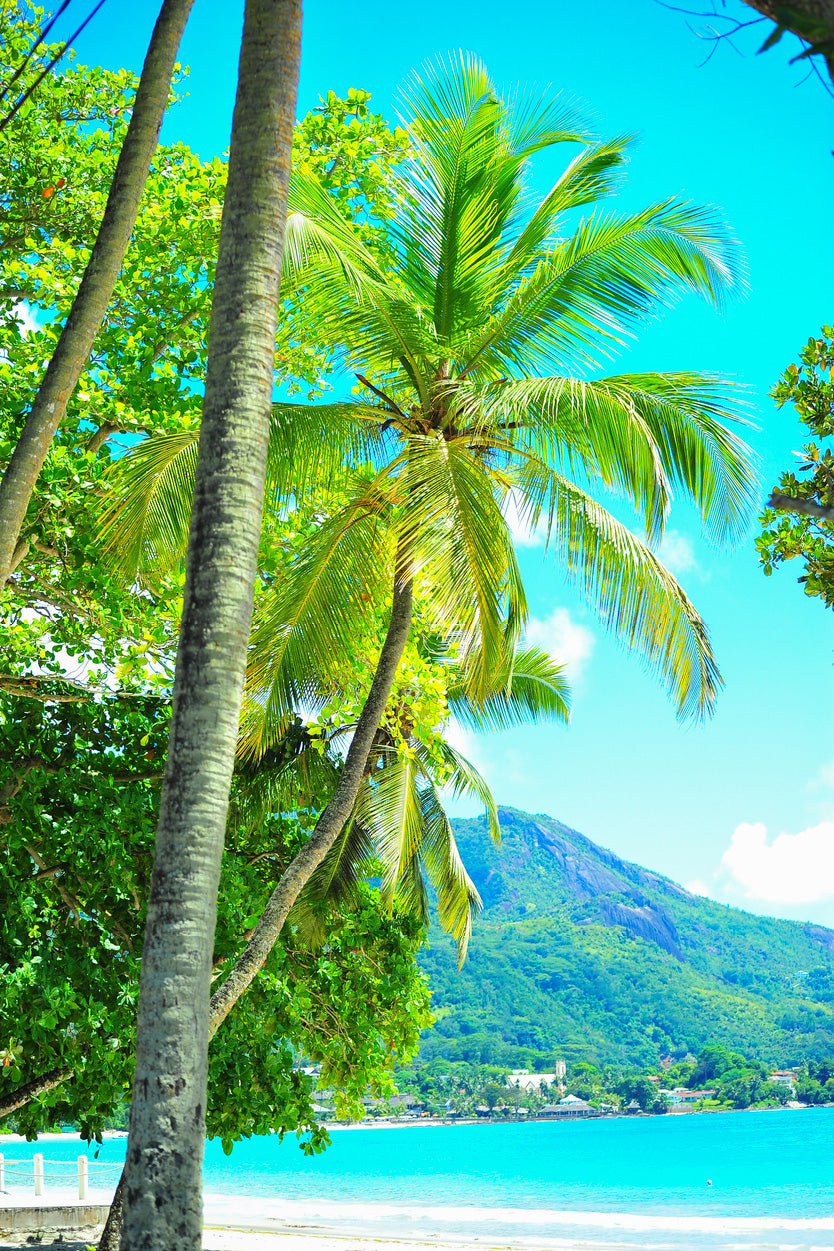 Seascape View Seychelles La Digue Island Photograph Glass Framed Wall Art, Ready to Hang Quality Print