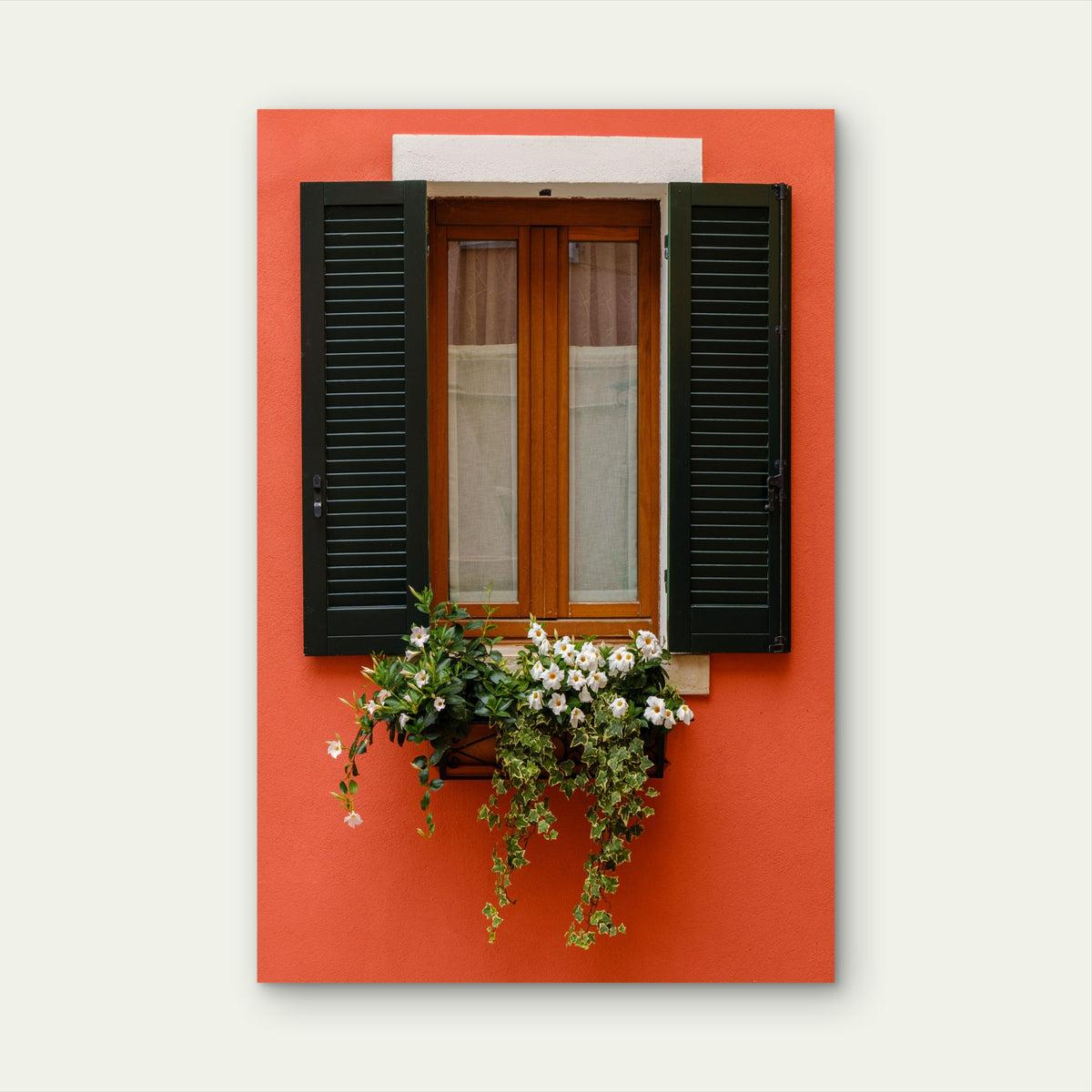 Red Wall Window Flower Box 40x60cm Metal Print Ready to Hang