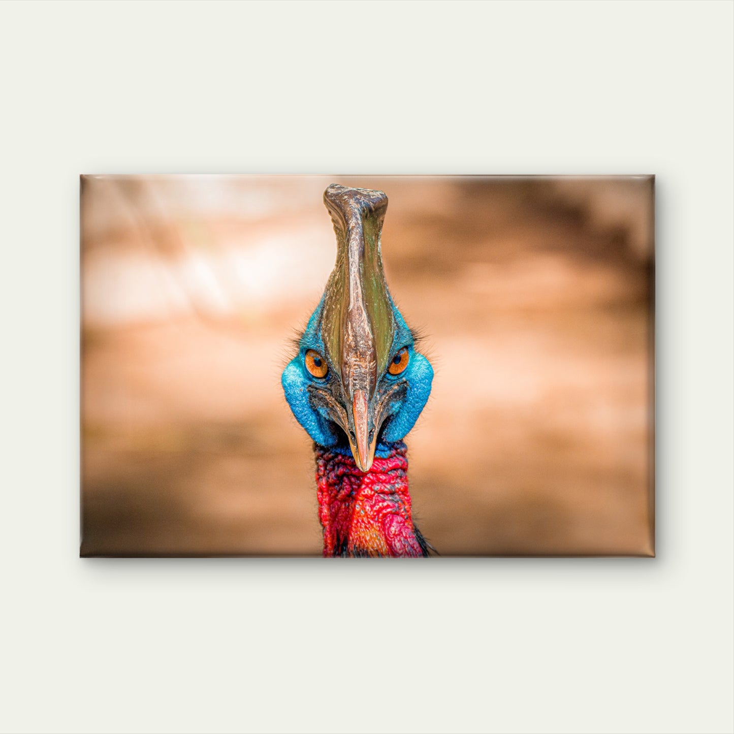 Cassowary Tropical Forest Wall Art Decor 100% Australian Made