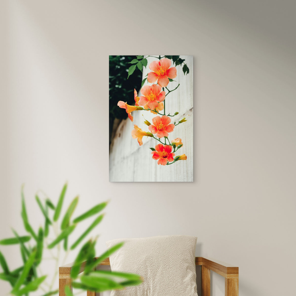 Chinese Trumpet Vine 60x90cm Metal Print Ready to Hang