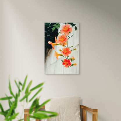 Chinese Trumpet Vine 60x90cm Metal Print Ready to Hang