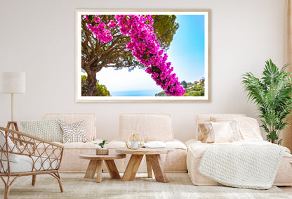 Branch Of Bougainvillea Flowers Home Decor Premium Quality Poster Print Choose Your Sizes