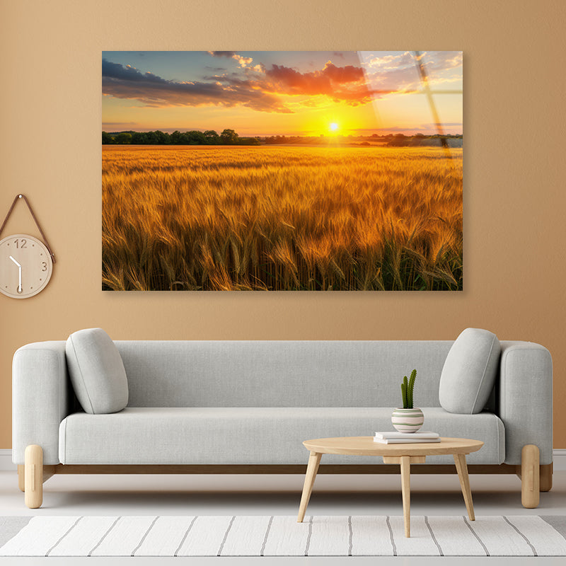 Rainbow Rural Landscape with Wheat Fields At Sunset Acrylic Glass Print Tempered Glass Wall Art 100% Made in Australia Ready to Hang