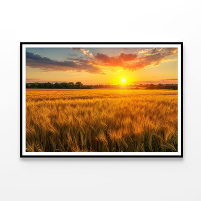 Rainbow Rural Landscape with Wheat Fields At Sunset Home Decor Premium Quality Poster Print Choose Your Sizes