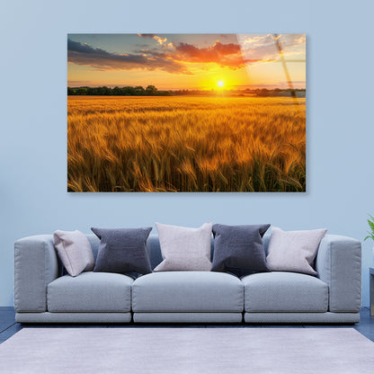 Rainbow Rural Landscape with Wheat Fields At Sunset Acrylic Glass Print Tempered Glass Wall Art 100% Made in Australia Ready to Hang