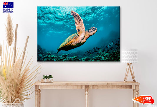 Graceful Swimming Sea Turtle Wall Art Decor 100% Australian Made