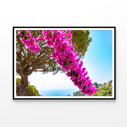 Branch Of Bougainvillea Flowers Home Decor Premium Quality Poster Print Choose Your Sizes