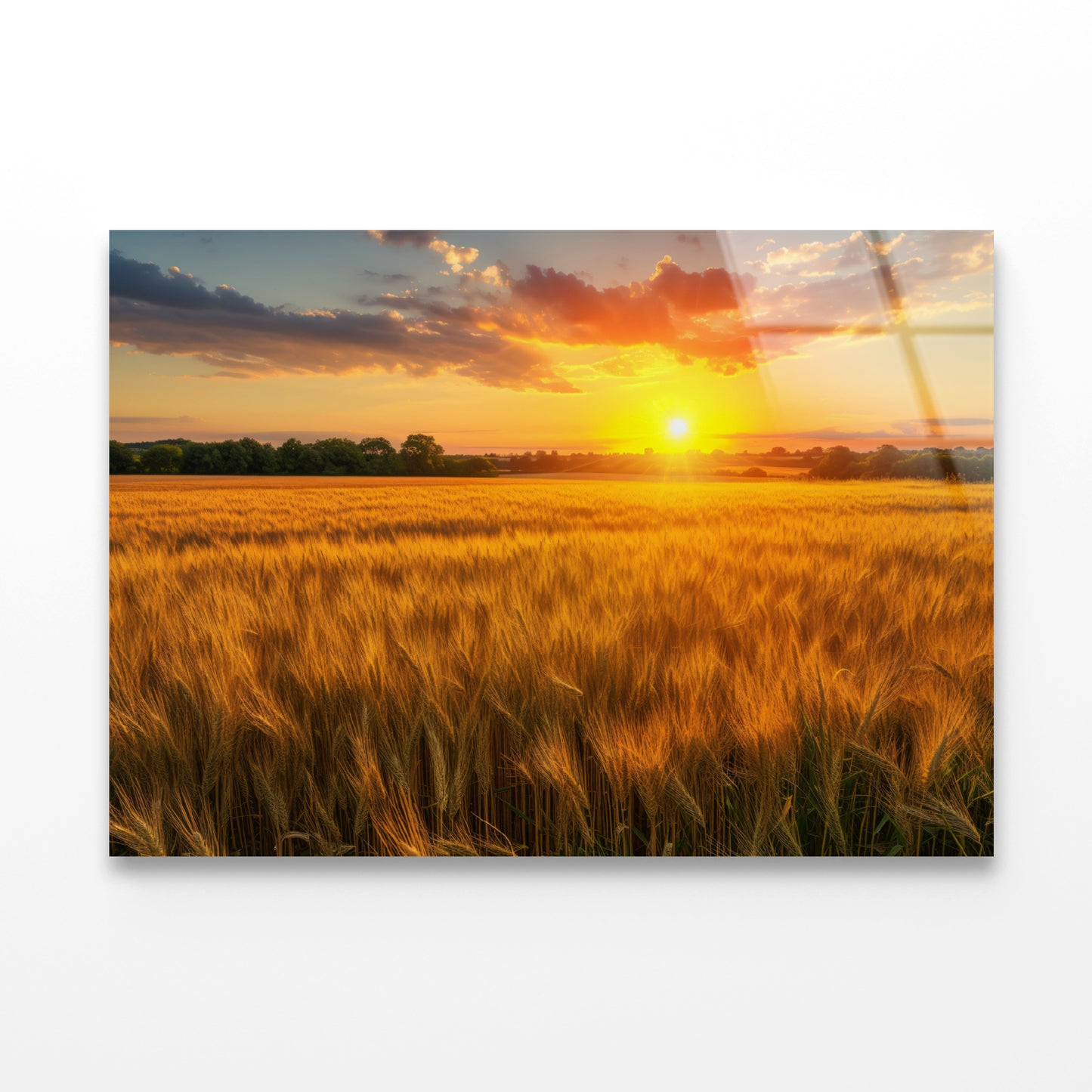 Rainbow Rural Landscape with Wheat Fields At Sunset Acrylic Glass Print Tempered Glass Wall Art 100% Made in Australia Ready to Hang