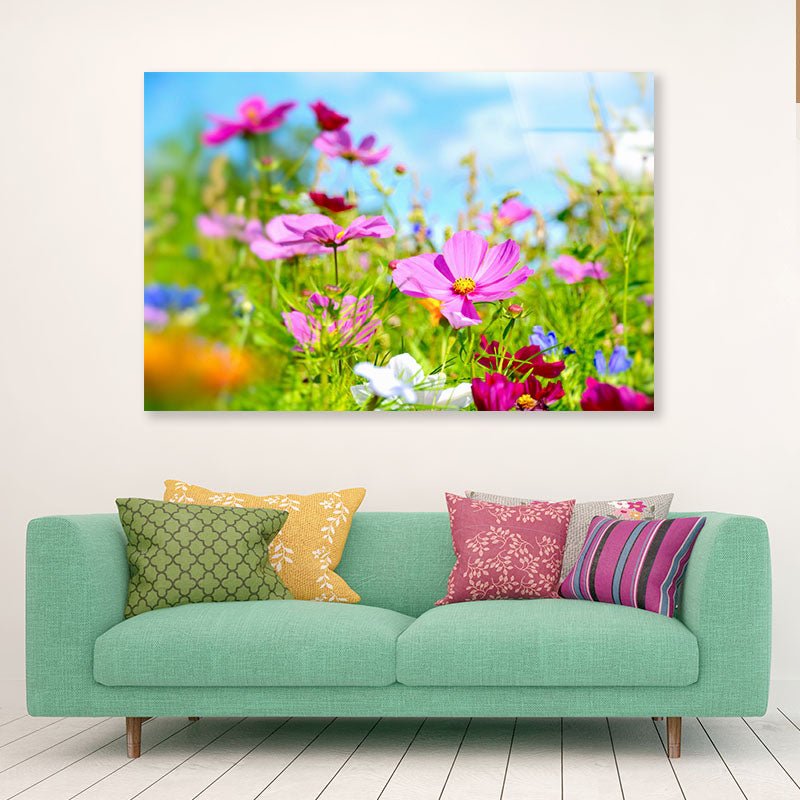 Purple Blumenwiese Sommerblumen Acrylic Glass Print Tempered Glass Wall Art 100% Made in Australia Ready to Hang