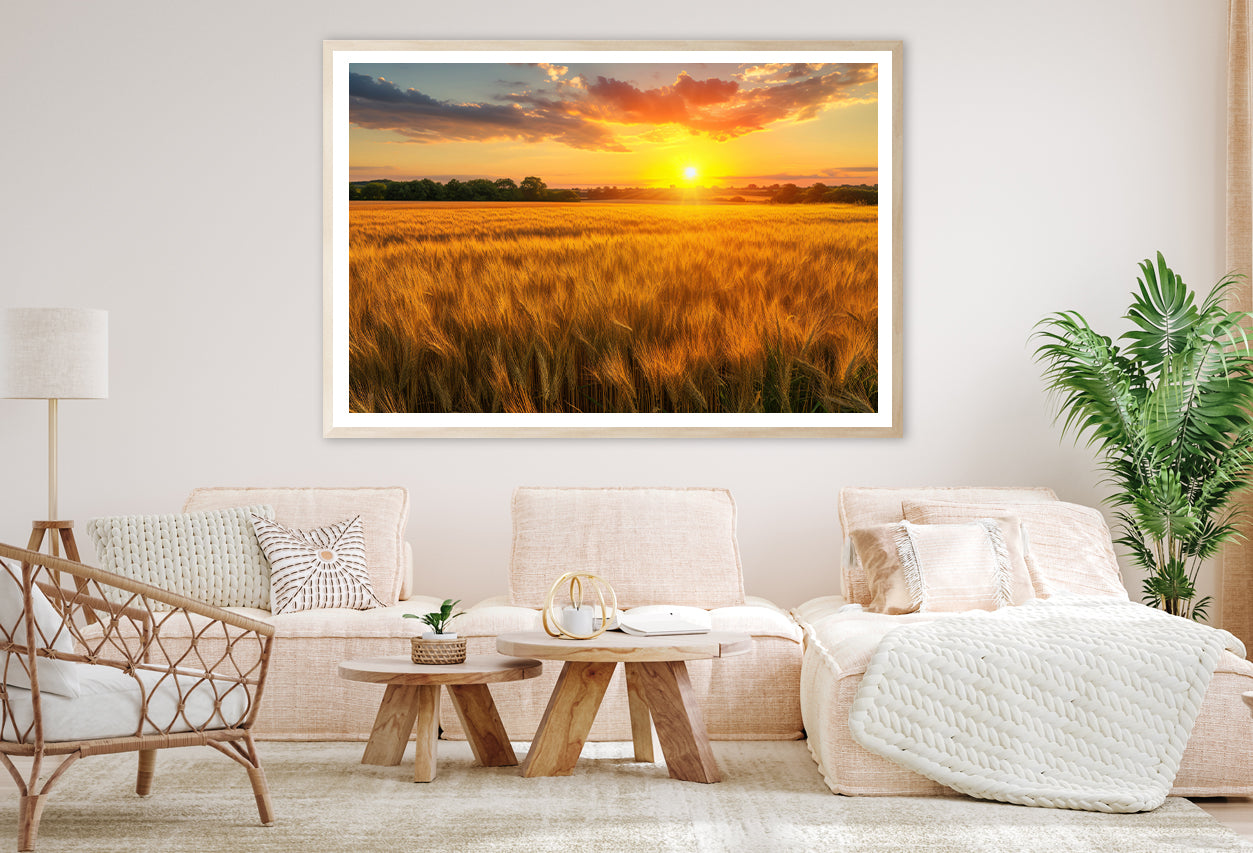 Rainbow Rural Landscape with Wheat Fields At Sunset Home Decor Premium Quality Poster Print Choose Your Sizes