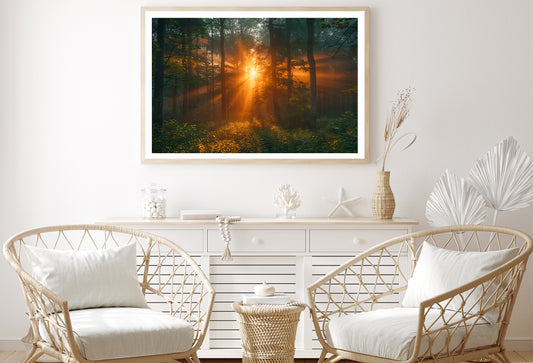 Sunlight Shining Through the Trees Home Decor Premium Quality Poster Print Choose Your Sizes