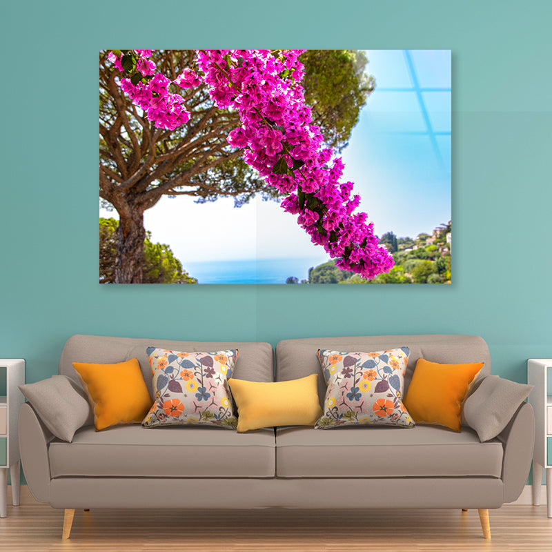 Branch Of Bougainvillea Flowers Acrylic Glass Print Tempered Glass Wall Art 100% Made in Australia Ready to Hang