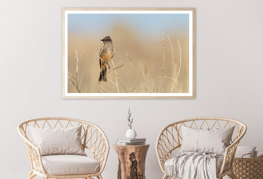 A Bird Perched On a Branch Close-up View Home Decor Premium Quality Poster Print Choose Your Sizes